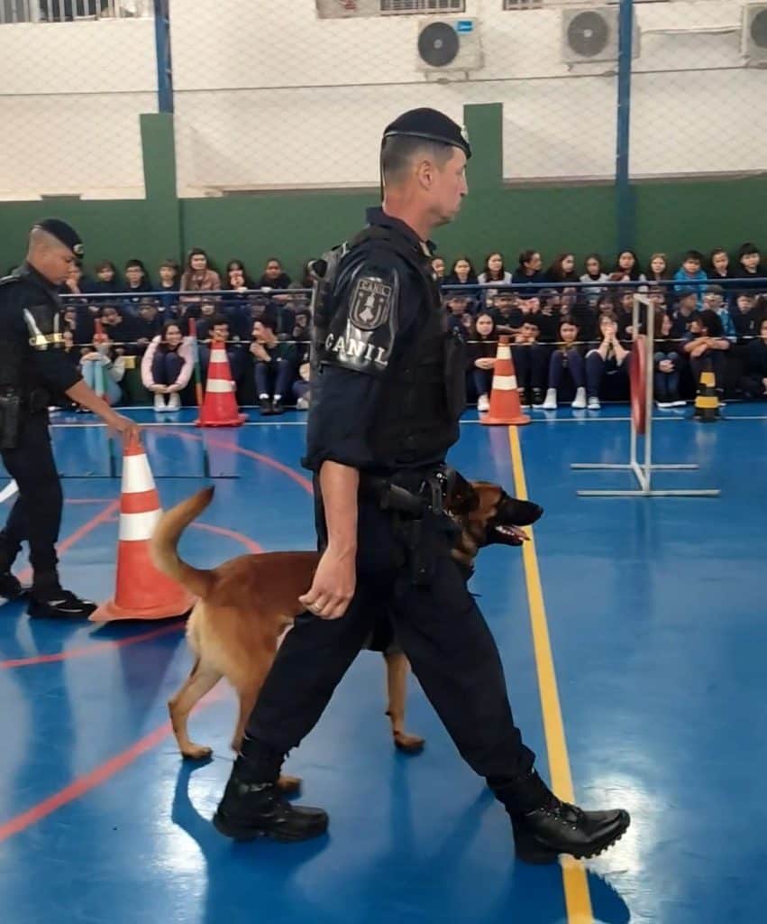 cães da gcm dão um show no Colégio Âncora