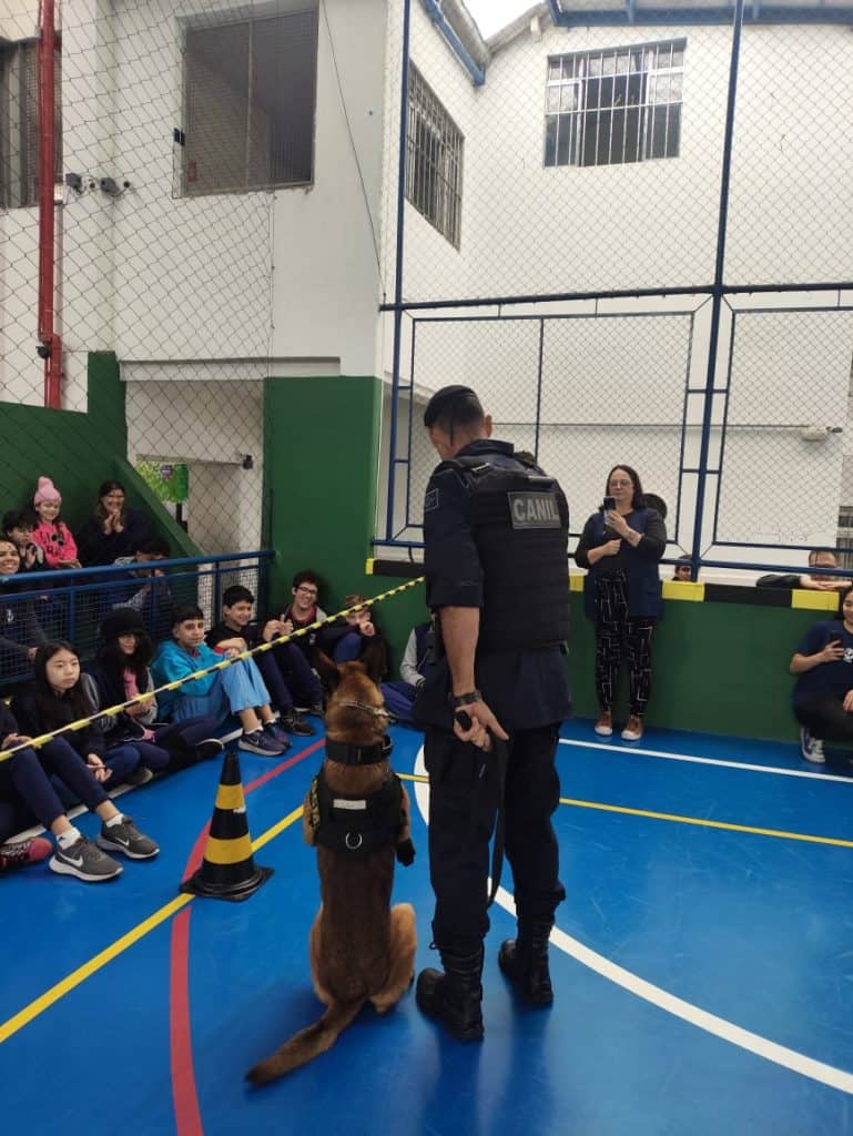 gcm leva cães para atividade na vila maria tereza.