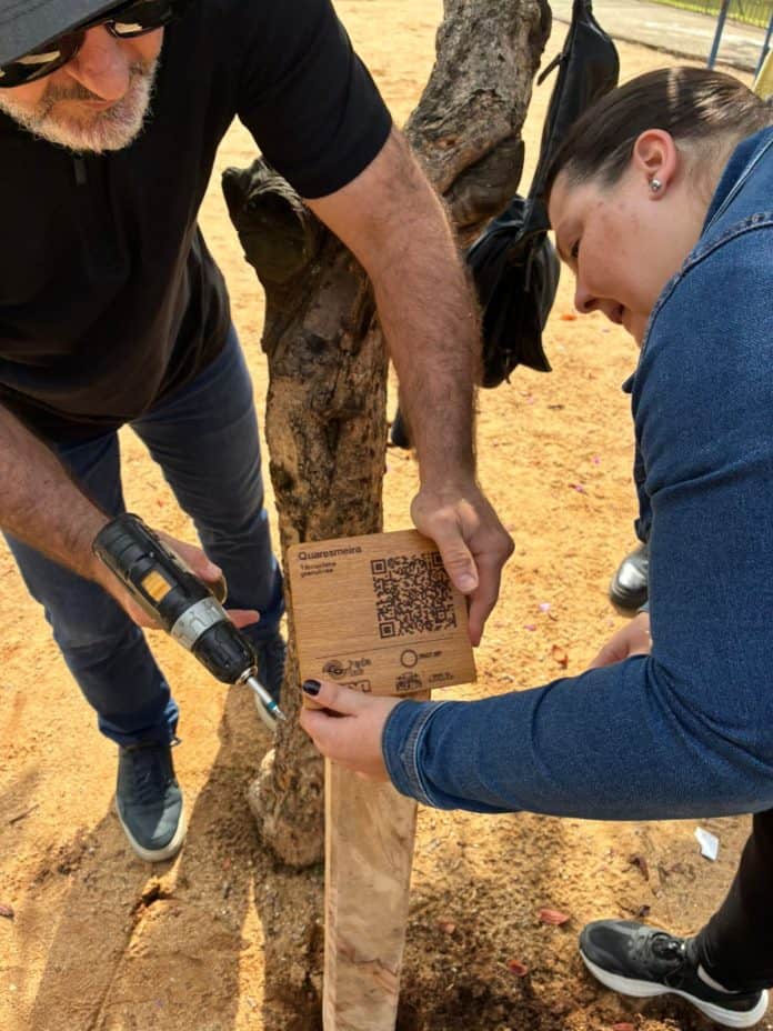 Projeto PodaLab propõe a utilização de sobras de podas e remoções de árvores para a confecção de brinquedos e mobiliários