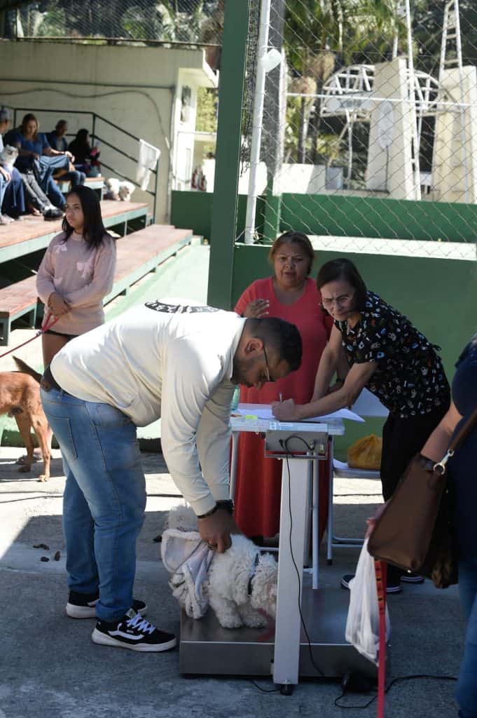 castração gratuita de cães e gatos