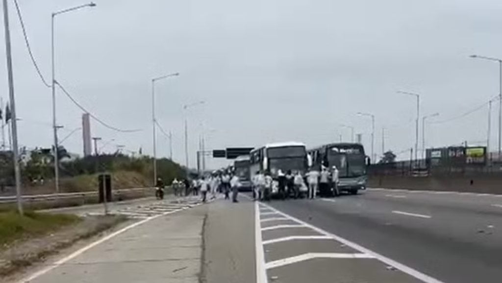 torcedores do palmeiras