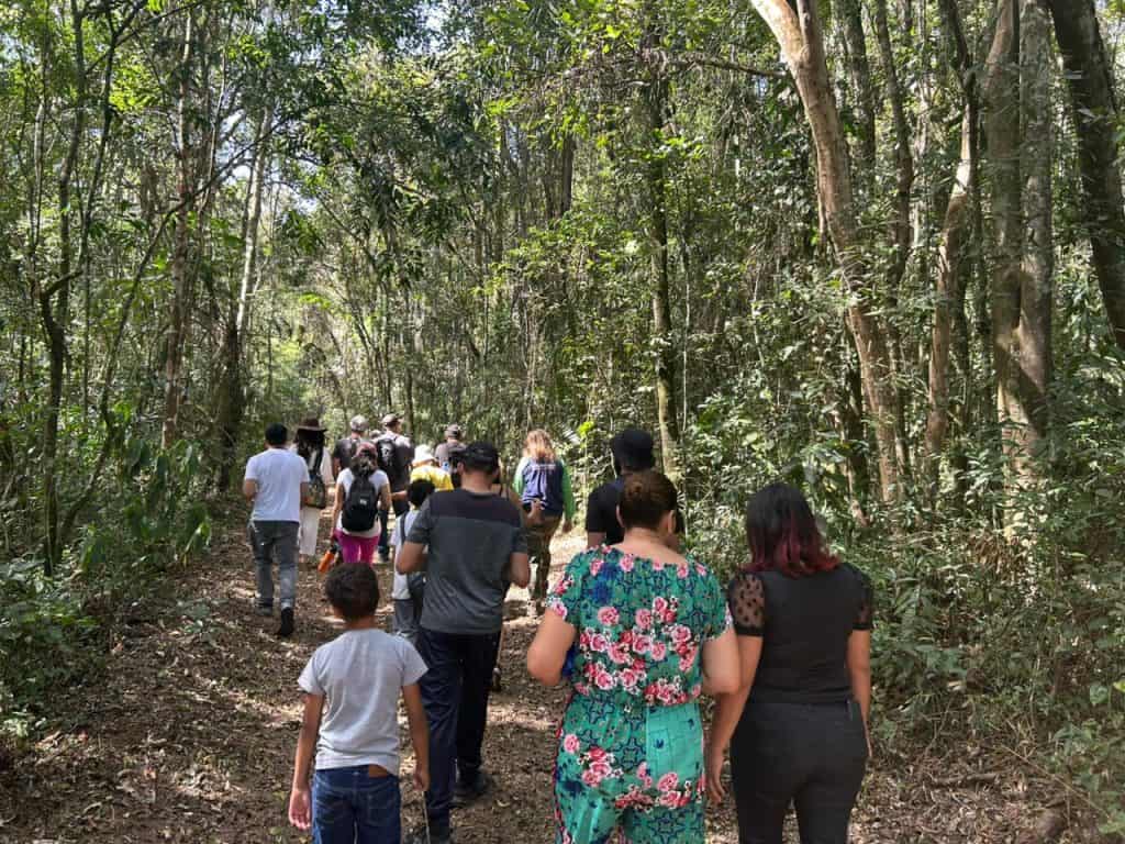 Horto Florestal de Guarulhos