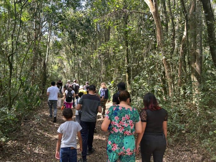 Horto Florestal de Guarulhos
