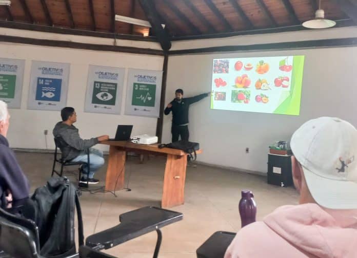 curso gratuito abelhas nativas Guarulhos