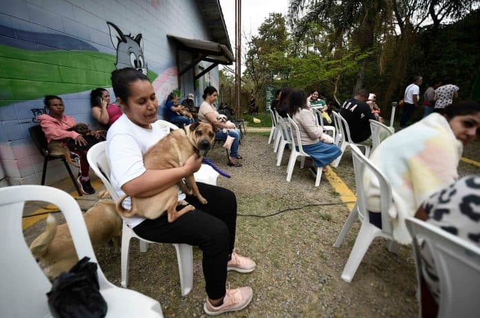 castração gratuita Guarulhos