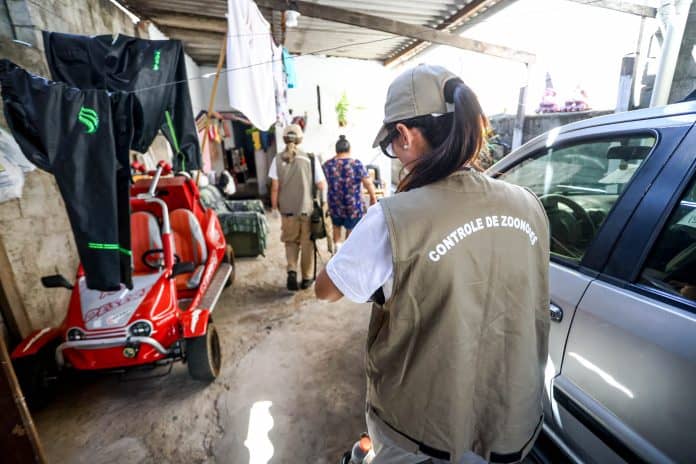 Agente de combate a endemias do CCZ realizando vistoria em quintal para eliminar criadouros do mosquito Aedes aegypti durante as ações contra a dengue em Guarulhos.