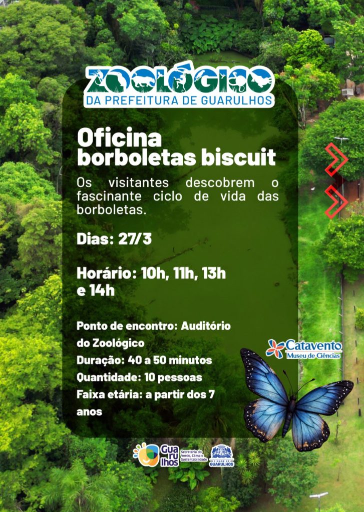 Oficina Borboletas Biscuit agita o Zoo de Guarulhos